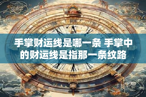 手掌财运线是哪一条 手掌中的财运线是指那一条纹路