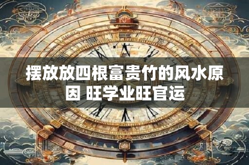 摆放放四根富贵竹的风水原因 旺学业旺官运