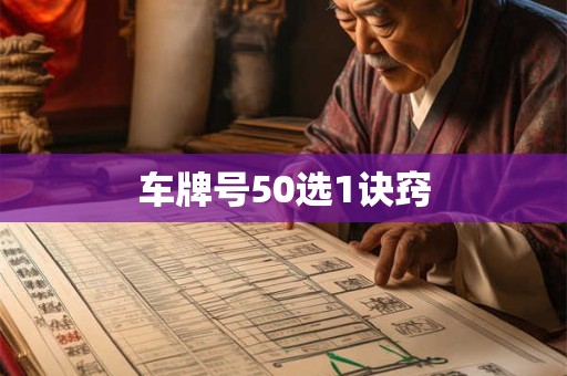 车牌号50选1诀窍