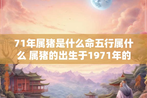 71年属猪是什么命五行属什么 属猪的出生于1971年的人是什么命他们的五行属于哪个元素