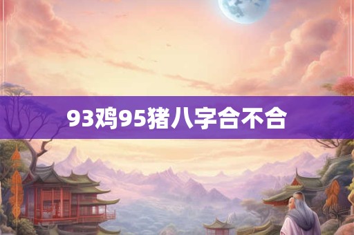 93鸡95猪八字合不合