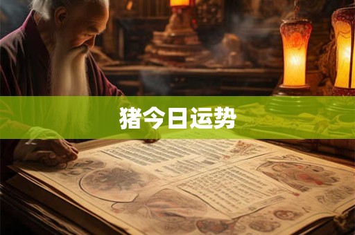 猪今日运势