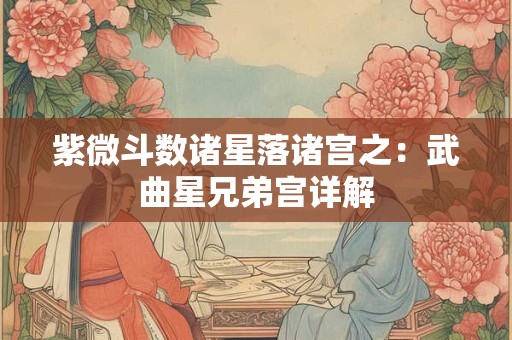 紫微斗数诸星落诸宫之：武曲星兄弟宫详解