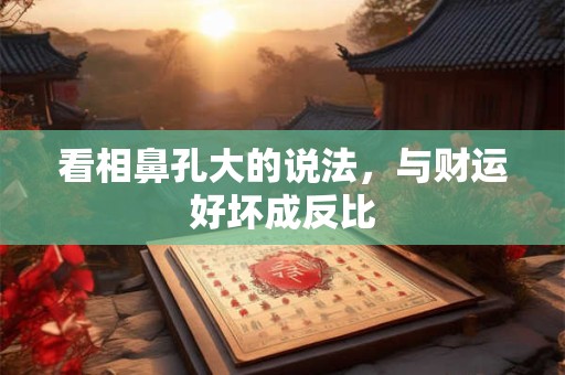 看相鼻孔大的说法，与财运好坏成反比