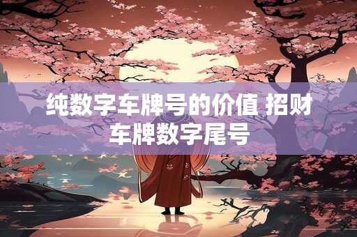 纯数字车牌号的价值 招财车牌数字尾号