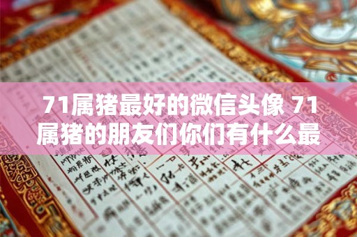 71属猪最好的微信头像 71属猪的朋友们你们有什么最好的微信头像推荐