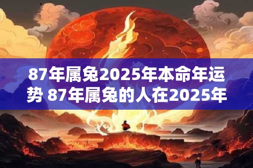 87年属兔2025年本命年运势 87年属兔的人在2025年本命年有怎样的运势