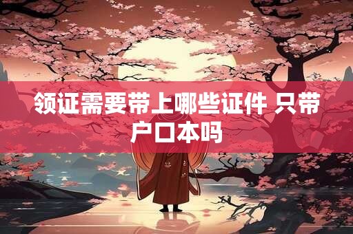 领证需要带上哪些证件 只带户口本吗
