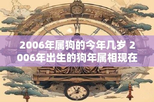 2006年属狗的今年几岁 2006年出生的狗年属相现在多少岁了