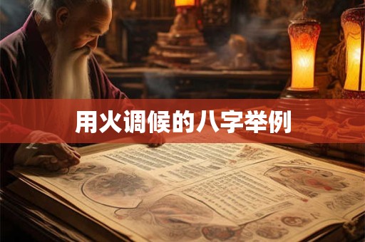 用火调候的八字举例