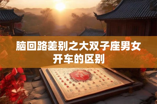 脑回路差别之大双子座男女开车的区别
