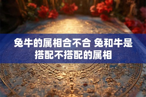 家具风水：家中木质家具有哪些风水