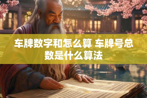车牌数字和怎么算 车牌号总数是什么算法