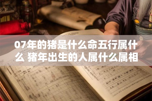 1999兔和2000龙好不好