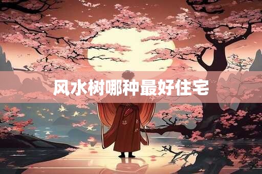 风水树哪种最好住宅
