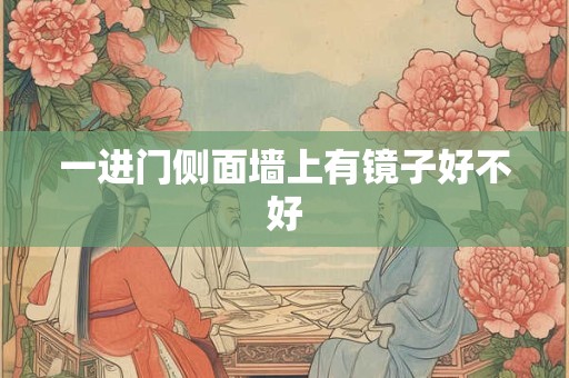 一进门侧面墙上有镜子好不好