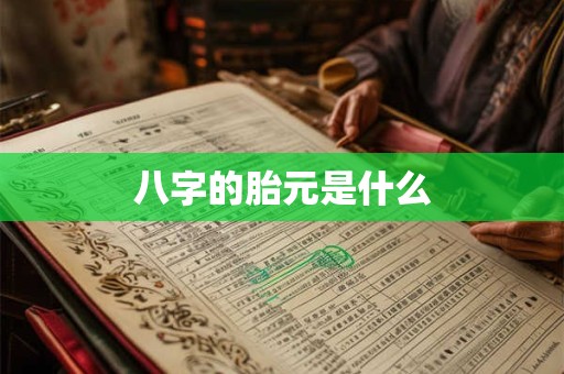 八字的胎元是什么