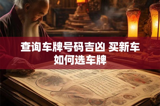 查询车牌号码吉凶 买新车如何选车牌
