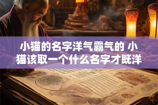 小猫的名字洋气霸气的 小猫该取一个什么名字才既洋气又霸气呢