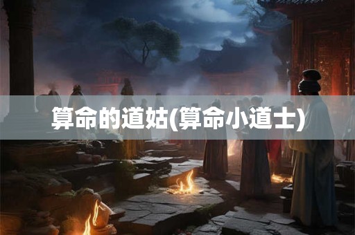 算命的道姑(算命小道士)