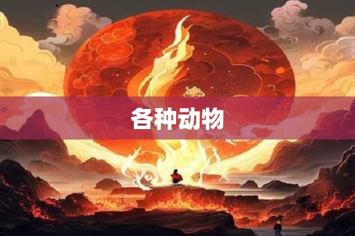 各种动物