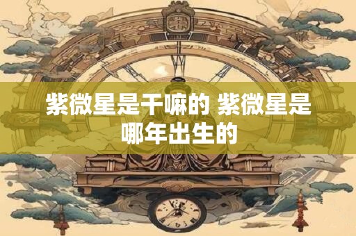 紫微星是干嘛的 紫微星是哪年出生的
