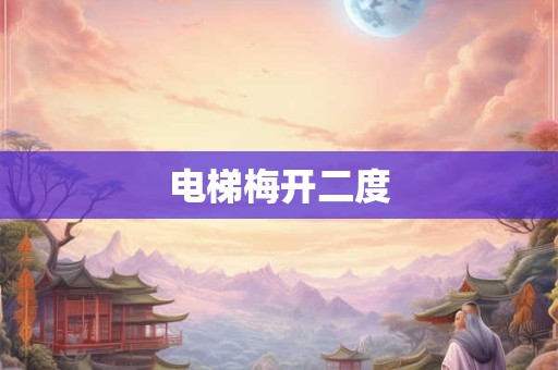 电梯梅开二度