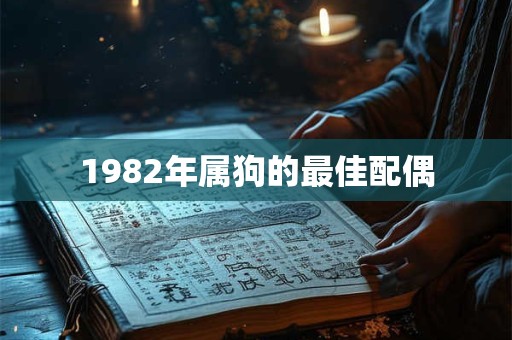 1982年属狗的最佳配偶