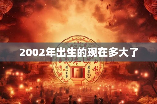 2002年出生的现在多大了