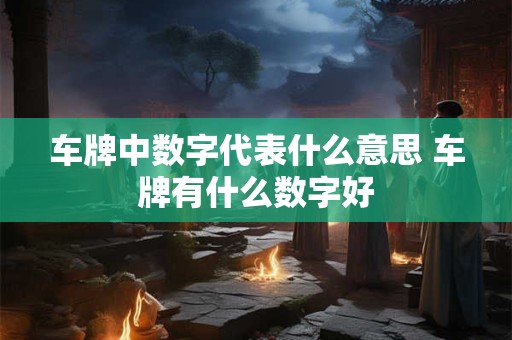 车牌中数字代表什么意思 车牌有什么数字好