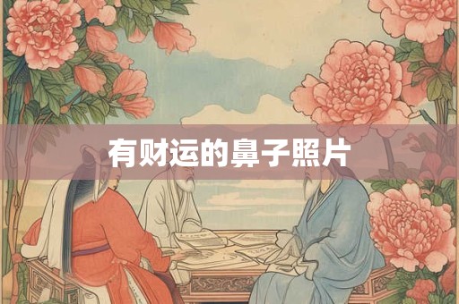 有财运的鼻子照片