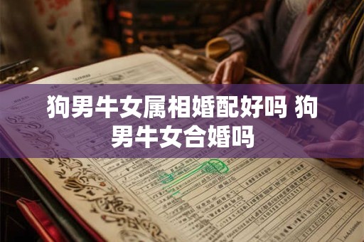 狗男牛女属相婚配好吗 狗男牛女合婚吗