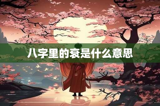 八字里的衰是什么意思