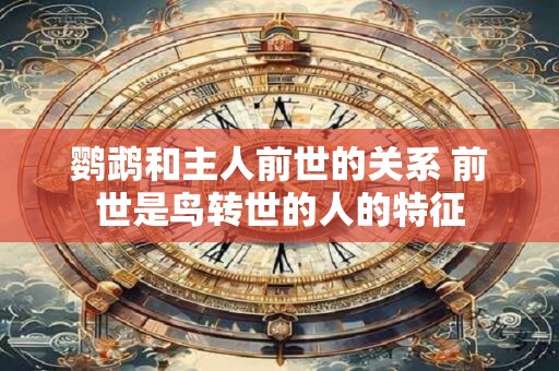 鹦鹉和主人前世的关系 前世是鸟转世的人的特征