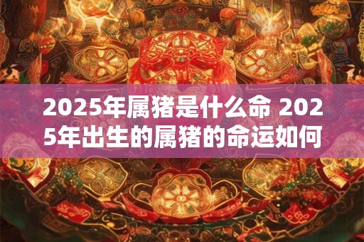 2025年属猪是什么命 2025年出生的属猪的命运如何