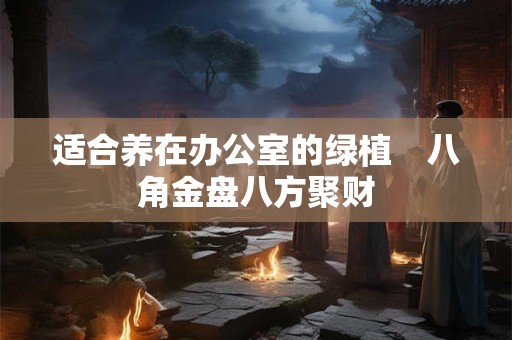 适合养在办公室的绿植　八角金盘八方聚财