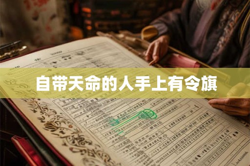 自带天命的人手上有令旗