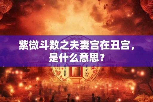 紫微斗数之夫妻宫在丑宫，是什么意思？