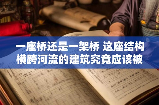 一座桥还是一架桥 这座结构横跨河流的建筑究竟应该被称为一座桥还是一架桥