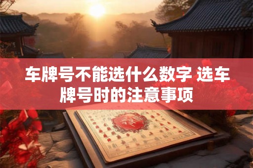 车牌号不能选什么数字 选车牌号时的注意事项