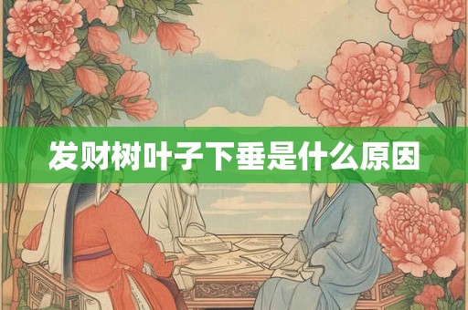 发财树叶子下垂是什么原因
