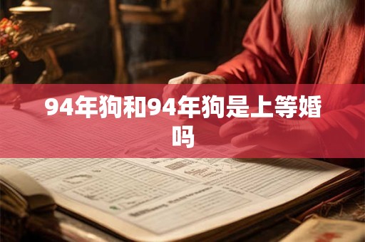 94年狗和94年狗是上等婚吗