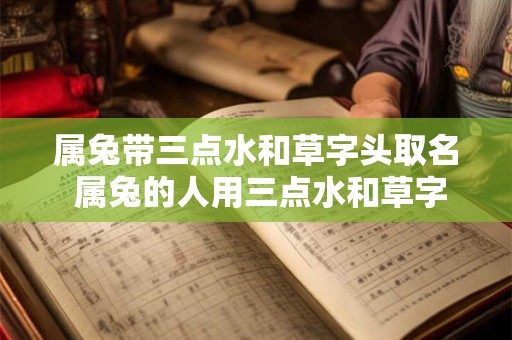 属兔带三点水和草字头取名 属兔的人用三点水和草字头怎么取名比较好