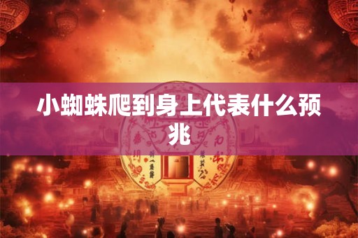 小蜘蛛爬到身上代表什么预兆