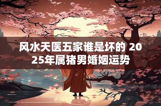 风水天医五家谁是坏的 2025年属猪男婚姻运势