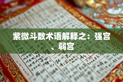 紫微斗数术语解释之：强宫、弱宫