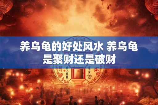 养乌龟的好处风水 养乌龟是聚财还是破财