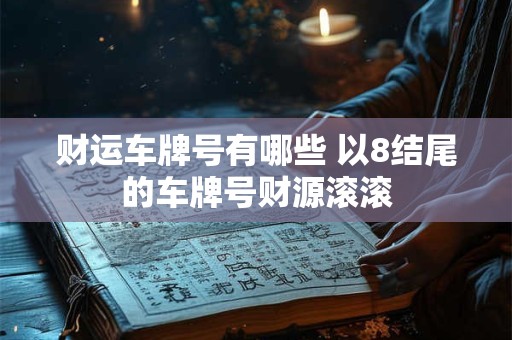 财运车牌号有哪些 以8结尾的车牌号财源滚滚