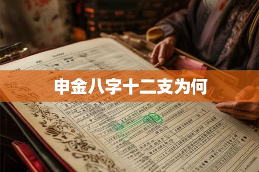 申金八字十二支为何
