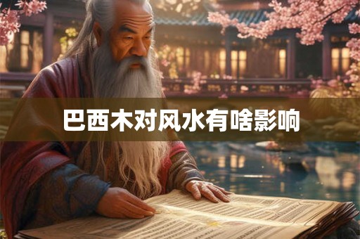 巴西木对风水有啥影响